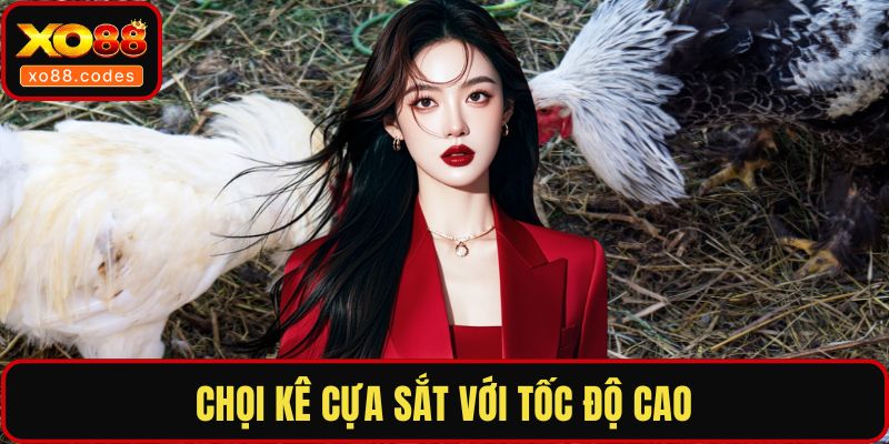 Chọi kê cựa sắt với tốc độ cao