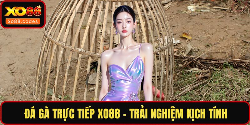 đá gà trực tiếp XO88