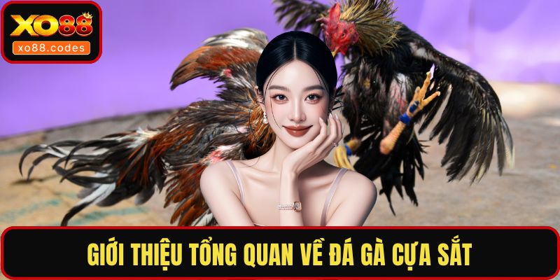 Giới thiệu tổng quan về đá gà cựa sắt